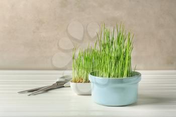 Bowls with sprouted wheat grass and scissors on white wooden table 