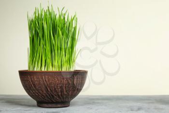 Bowl with sprouted wheat grass on table against white background�