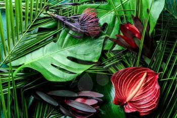 Beautiful flowers on green tropical leaves�