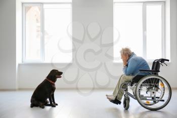 Depressed senior woman in wheelchair and her dog indoors�