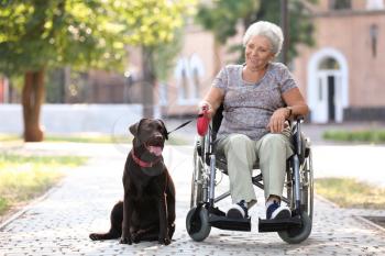 Senior woman in wheelchair and her dog outdoors�