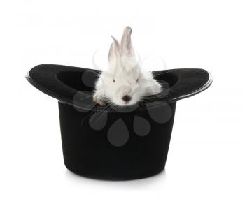 Magician hat with cute rabbit on white background�