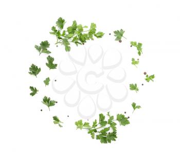 Frame made of fresh aromatic parsley on white background�