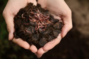 Woman holding worms with soil, closeup�