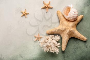 Starfishes with sea shell and coral on color background�