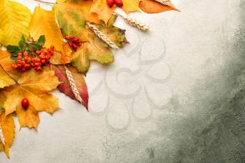 Composition with autumn leaves on color background�