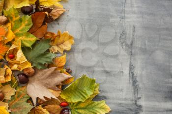 Beautiful autumn leaves on grey background�
