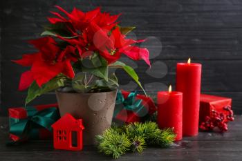 Christmas flower poinsettia with gift boxes and burning candles on wooden table�