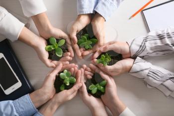 Business people holding green seedlings with soil on light table, top view�