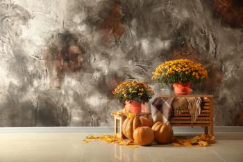 Beautiful autumn chrysanthemum flowers with pumpkins near grey wall�
