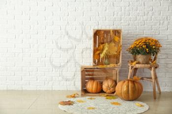 Beautiful autumn composition with pumpkins and leaves near white brick wall�