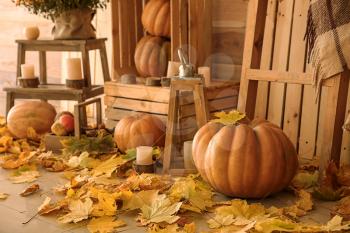 Beautiful autumn composition with pumpkins and leaves near wooden wall�
