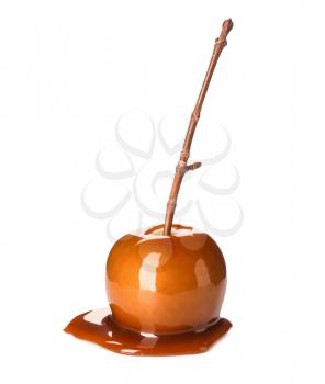 Delicious caramel apple with tree branch on white background�