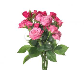 Beautiful bouquet of pink roses on white background�