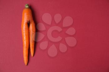 Fresh carrot on color background. Erotic concept�