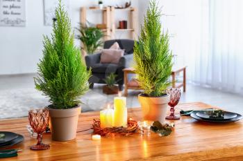 Pots with lemon cypress trees, candles and decor on wooden table�