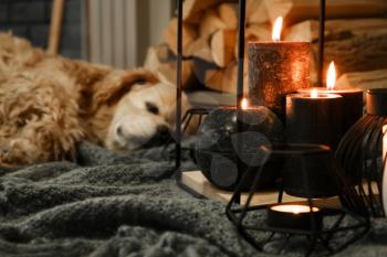 Beautiful burning candles with sleeping dog near fireplace�