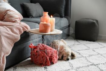 Cute dog near table with burning candles in room�