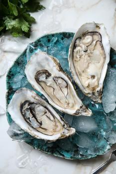 Plate with tasty cold oysters on light table�