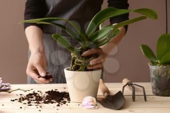 Woman transplanting orchid at table�