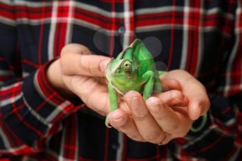 Woman holding cute green chameleon, closeup�