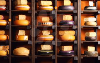 Assortment of tasty cheese on shelves in store�