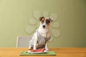 Cute funny dog and plate with raw meat on table�