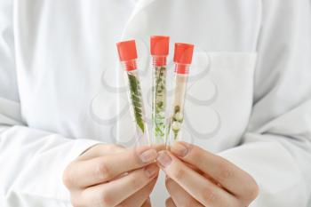 Doctor holding test tubes with plants, closeup�
