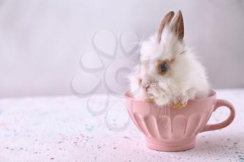 Cute fluffy rabbit in cup on table�
