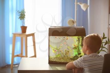 Cute little boy looking at fish in aquarium�