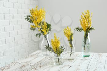 Glassware with beautiful mimosa flowers on white table in room�