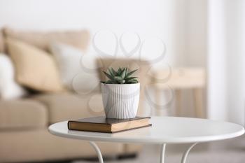 Green succulent in pot with book on table in room�