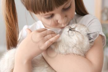 Girl with cute fluffy kitten at home�
