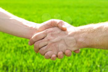 Men shaking hands in green field, closeup�