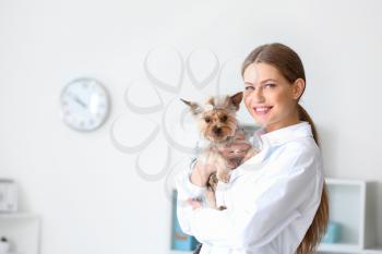 Veterinarian with cute dog in clinic�