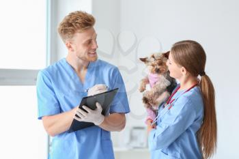 Veterinarians with cute dog in clinic�