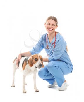 Female veterinarian with cute dog on white background�