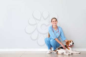 Female veterinarian with cute dog near light wall�