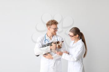 Veterinarians with cute dog on light background�