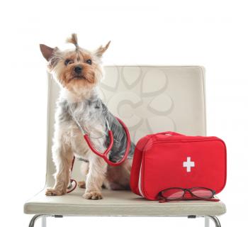 Cute dog with stethoscope and first aid kit on chair against white background. Concept of visiting veterinarian�