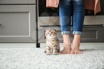 Cute little kitten with owner at home�