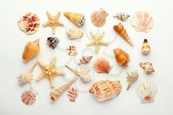 Many beautiful sea shells on white background, top view�