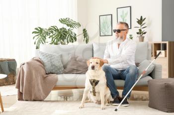 Blind mature man with guide dog at home�