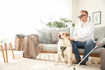 Blind mature man with guide dog at home�