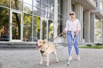 Young blind woman with guide dog outdoors�