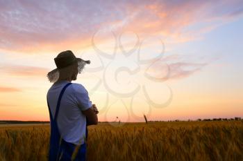 Male farmer in wheat field at sunset�