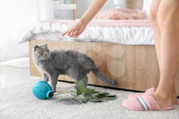 Owner scolding her cat for dropped vase on carpet�
