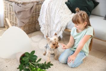 Cute little girl scolding dog for dropped houseplant on carpet�