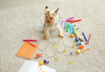 Cute dog sitting near paints and pencils on messed carpet�