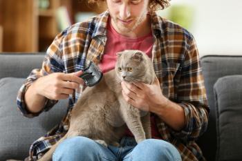 Man brushing cute funny cat at home�